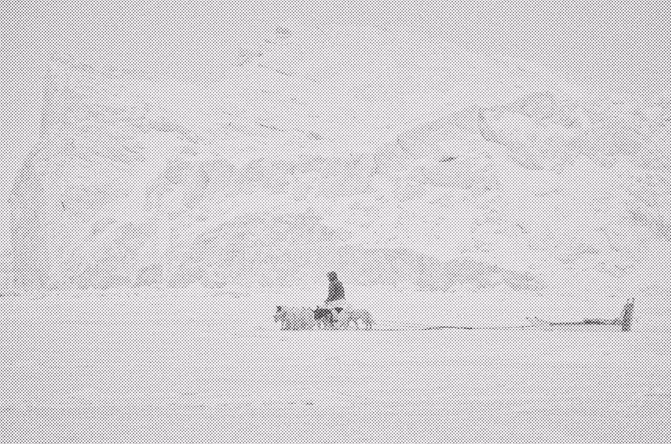 A qimusseq team moving across distant sea ice near Naajaat.